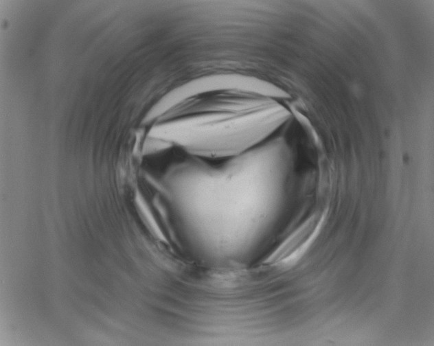 X0000061730190200512231444