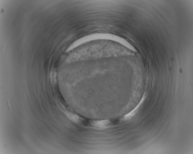 X0000061730191200512231444