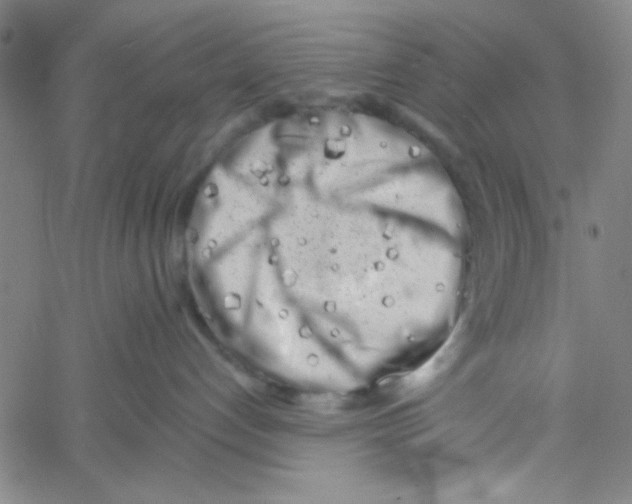 X0000061730192200512231444