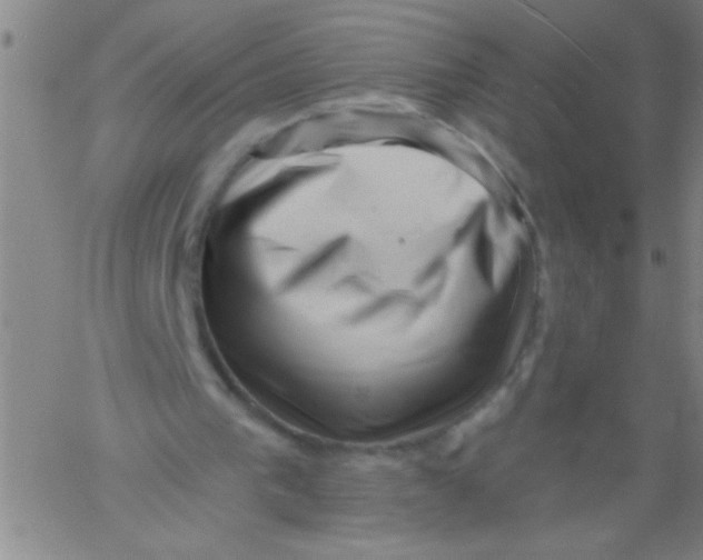 X0000061730193200512231443