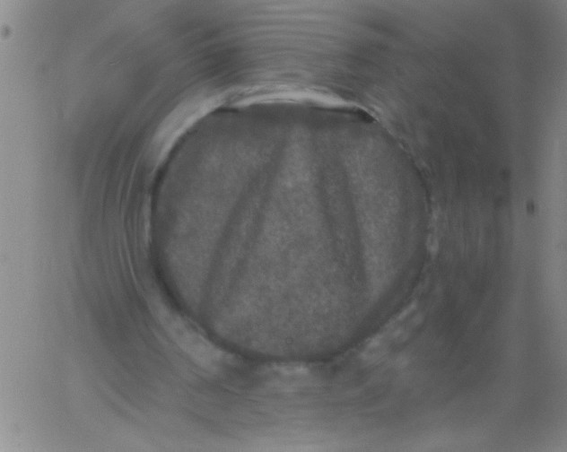 X0000061730194200512231443