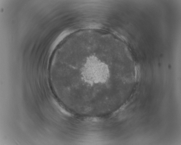 X0000061730195200512231443