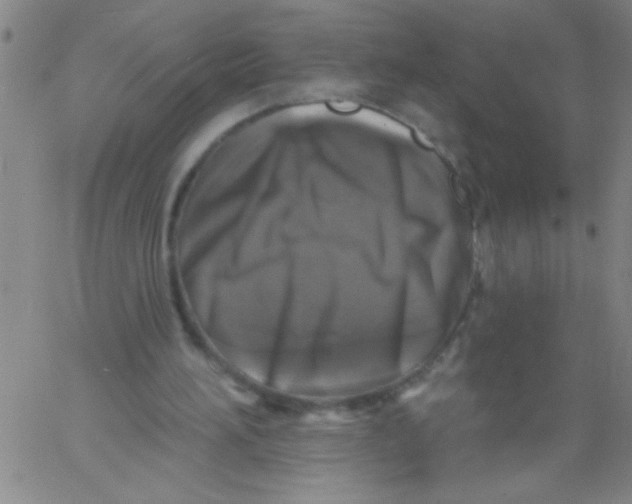 X0000061730196200512231443