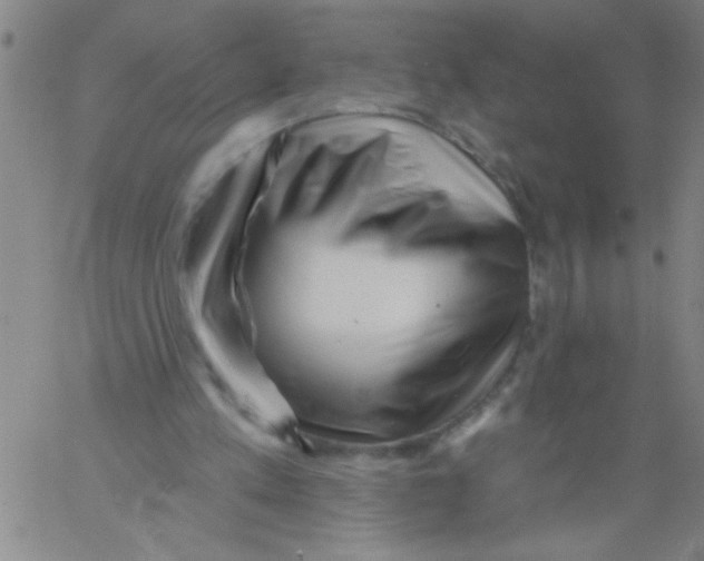 X0000061730197200512231443