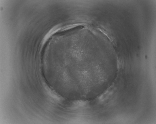 X0000061730198200512231443