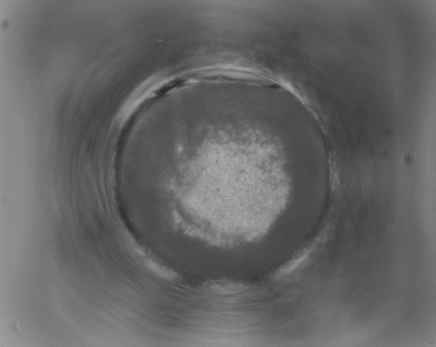 X0000061730199200512231443