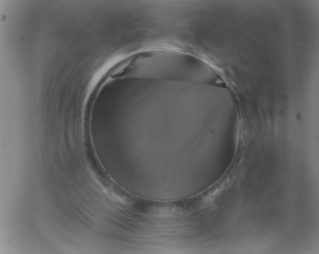 X0000061730200200512231443