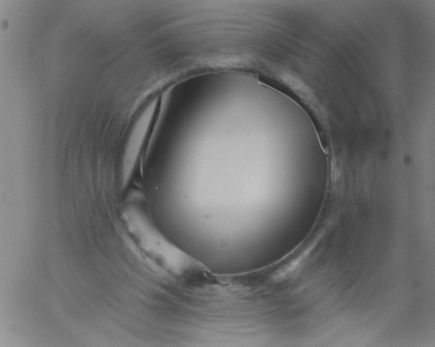 X0000061730201200512231443