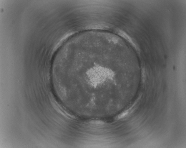 X0000061730203200512231443