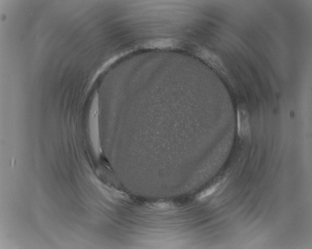 X0000061730204200512231443