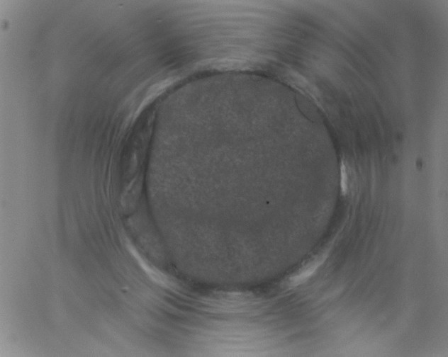 X0000061730205200512231443