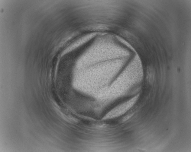 X0000061730206200512231443