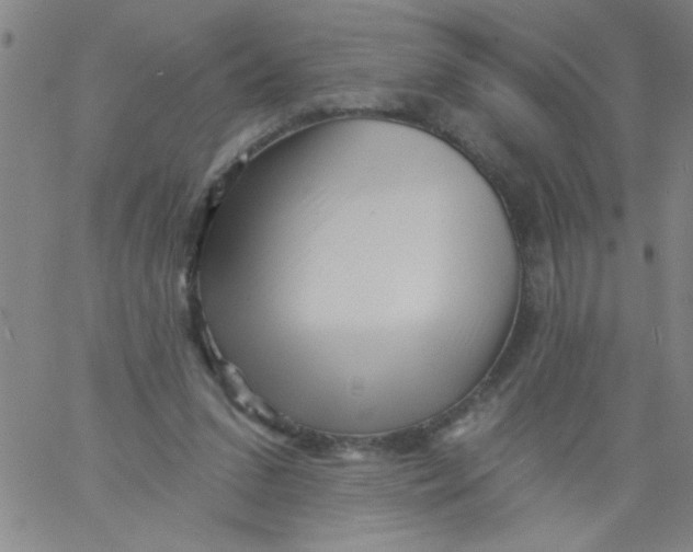 X0000061730207200512231443