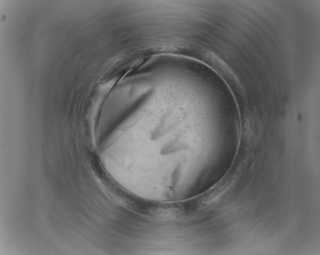 X0000061730209200512231443