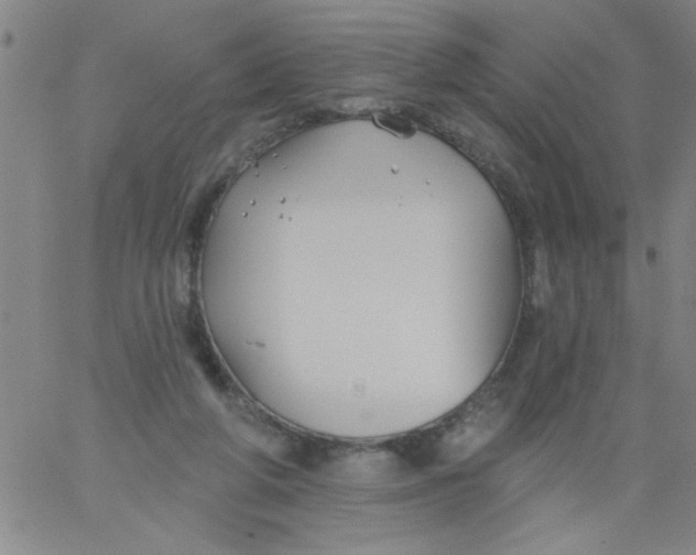 X0000061730210200512231443