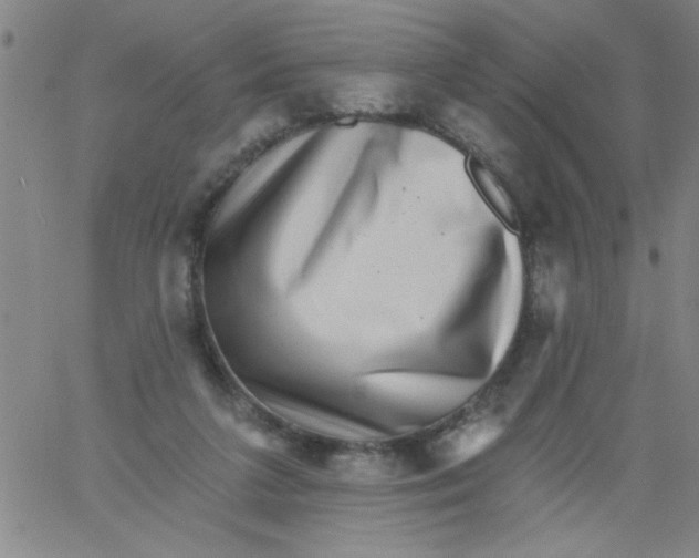 X0000061730211200512231443