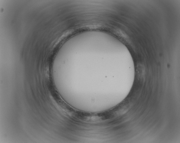 X0000061730212200512231443