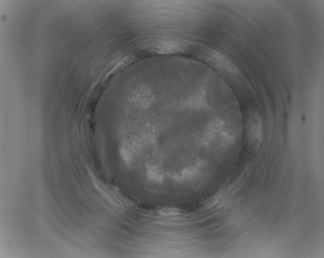 X0000061730214200512231443