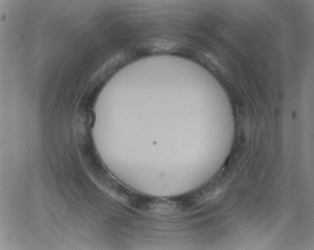 X0000061730215200512231443