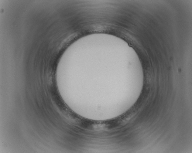 X0000061730216200512231443