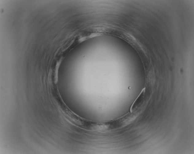 X0000061730217200512231443