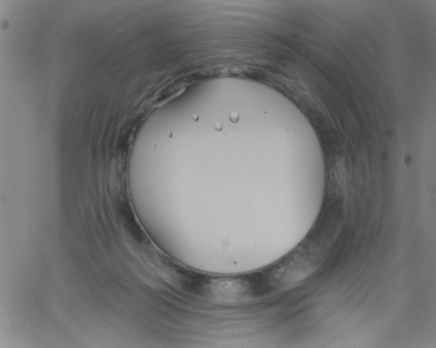 X0000061730218200512231443