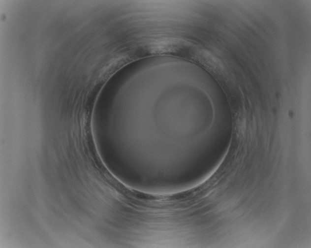 X0000061730219200512231443