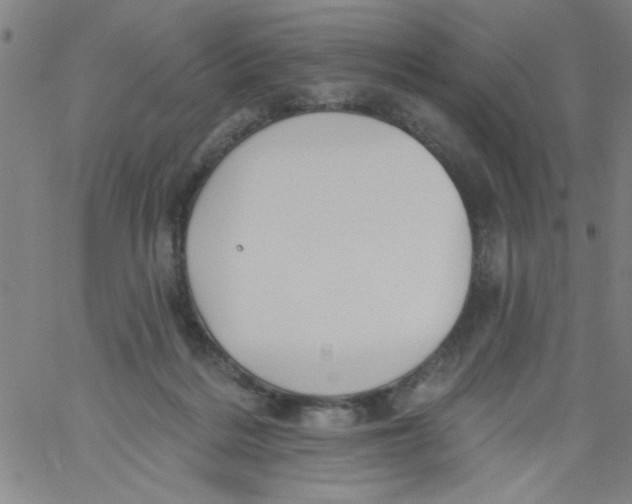 X0000061730220200512231443