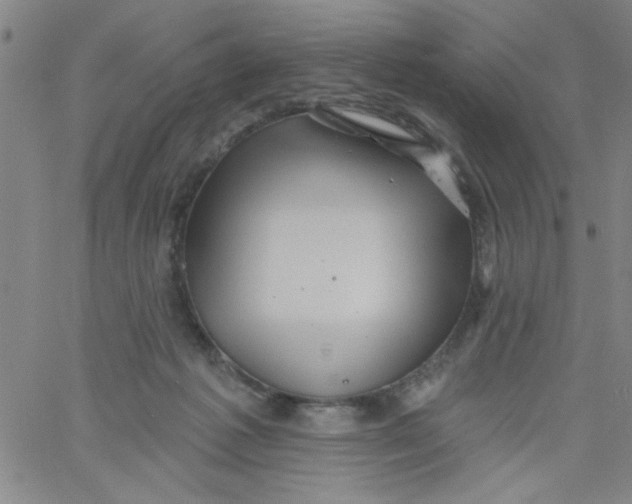 X0000061730221200512231443