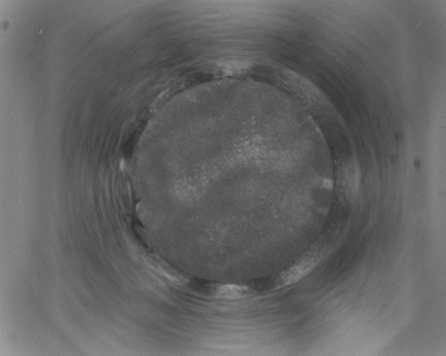 X0000061730222200512231443