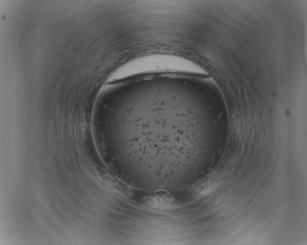 X0000061730223200512231443