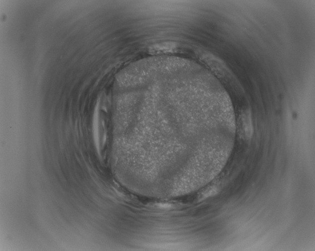 X0000061730224200512231443