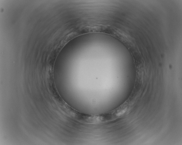 X0000061730225200512231443