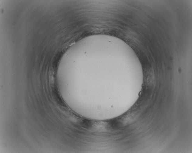 X0000061730226200512231443