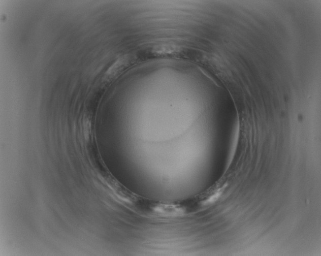 X0000061730227200512231443