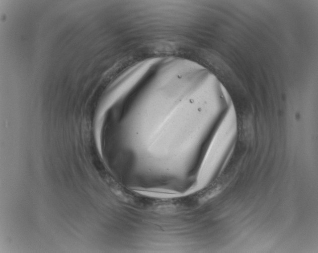 X0000061730228200512231443