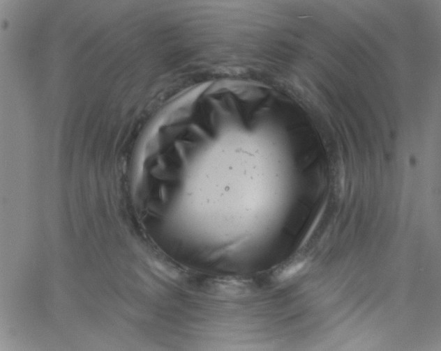 X0000061730229200512231443