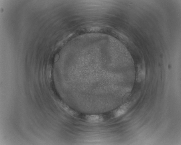 X0000061730230200512231443