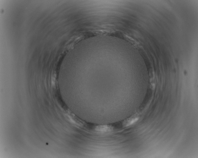 X0000061730231200512231443