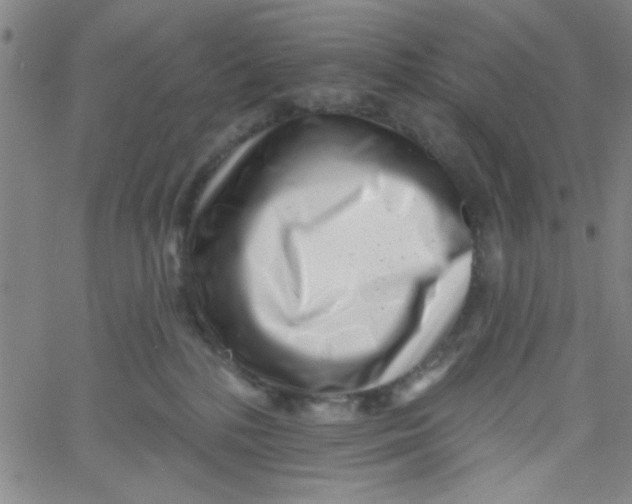 X0000061730232200512231442