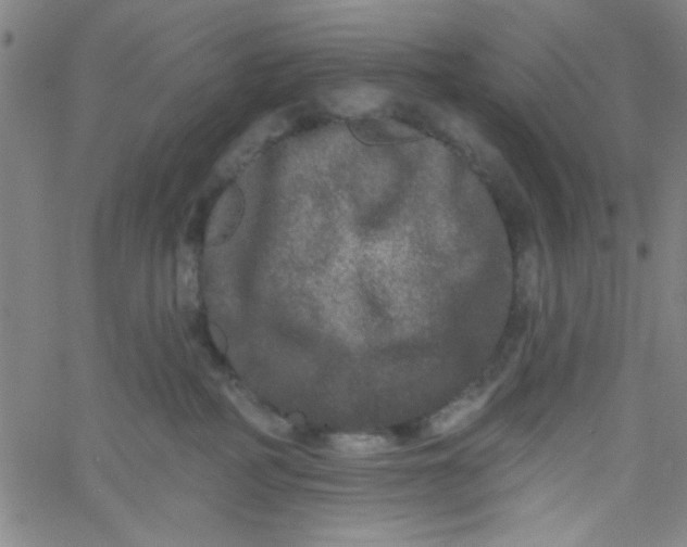 X0000061730234200512231442