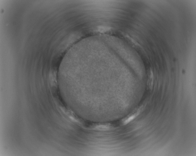 X0000061730236200512231442