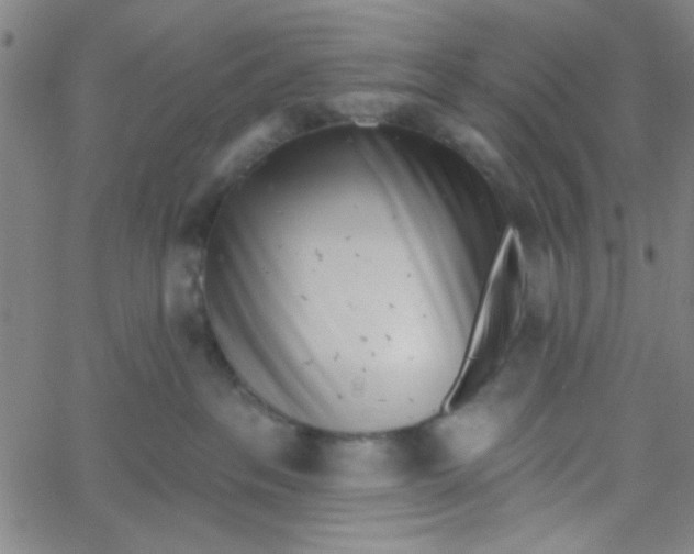 X0000061730237200512231442