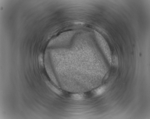 X0000061730238200512231442