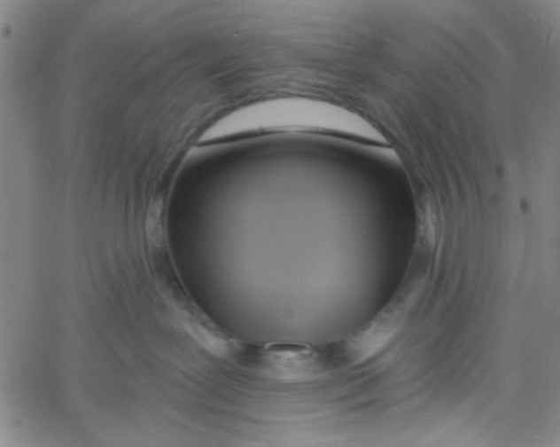 X0000061730239200512231442