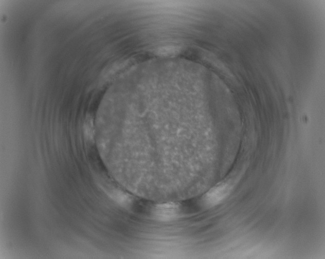 X0000061730240200512231442