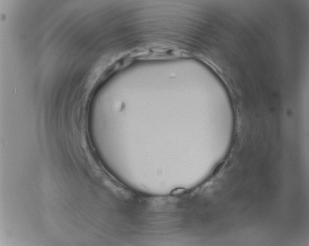 X0000061730241200512231442