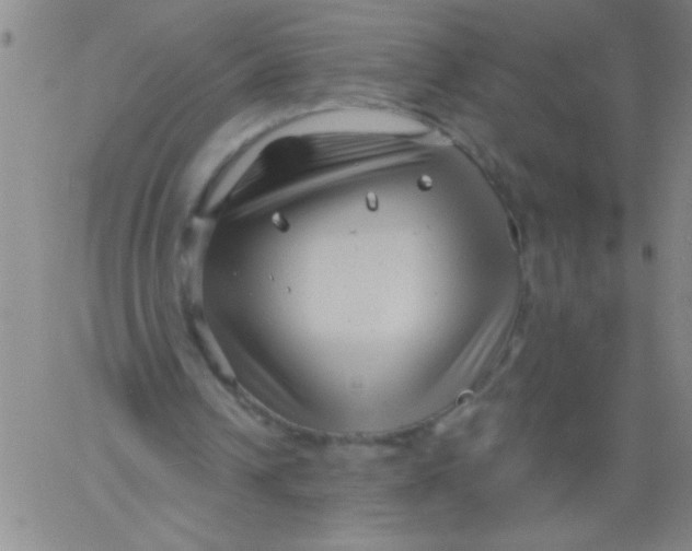 X0000061730242200512231442