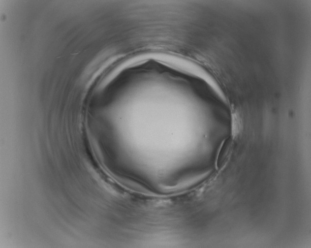 X0000061730243200512231442