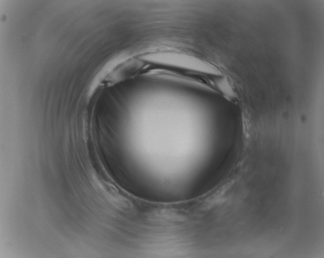 X0000061730244200512231442